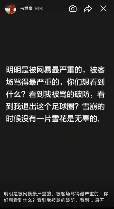 韦世豪:你们想看什么?看到我破防?雪崩时没有一片雪花是无辜的
